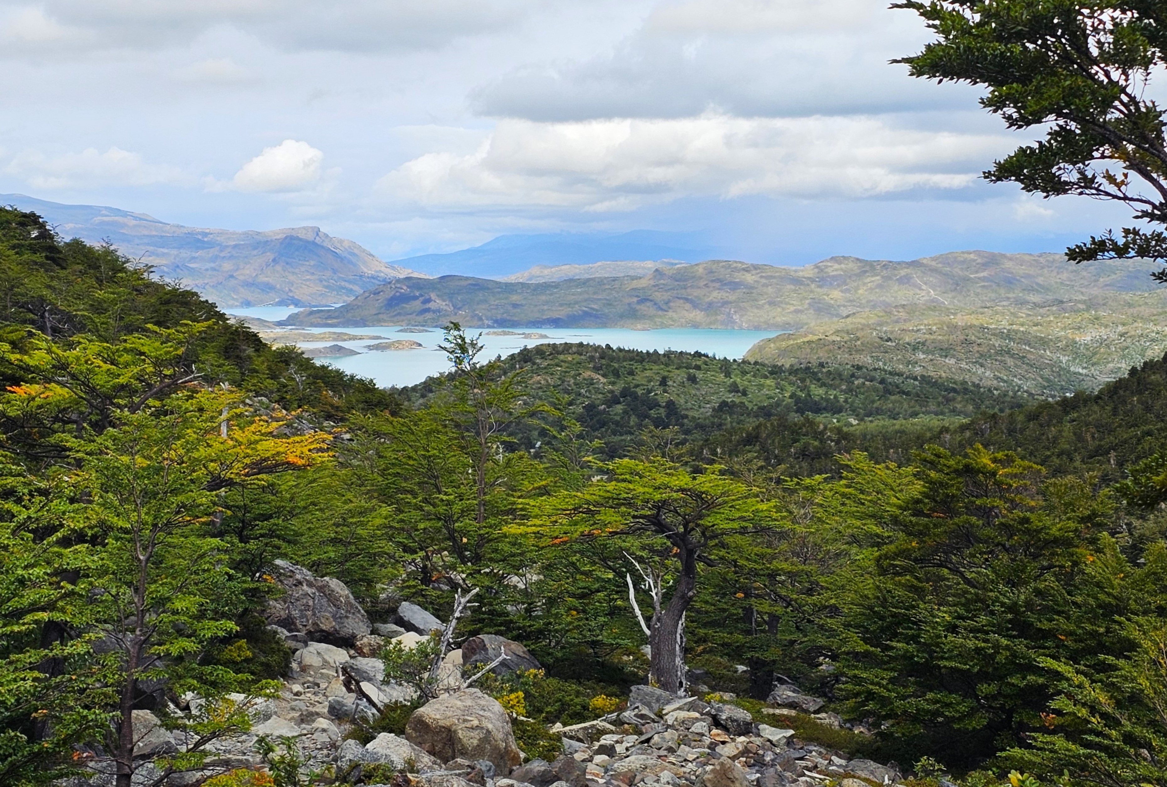 Torres del Paine